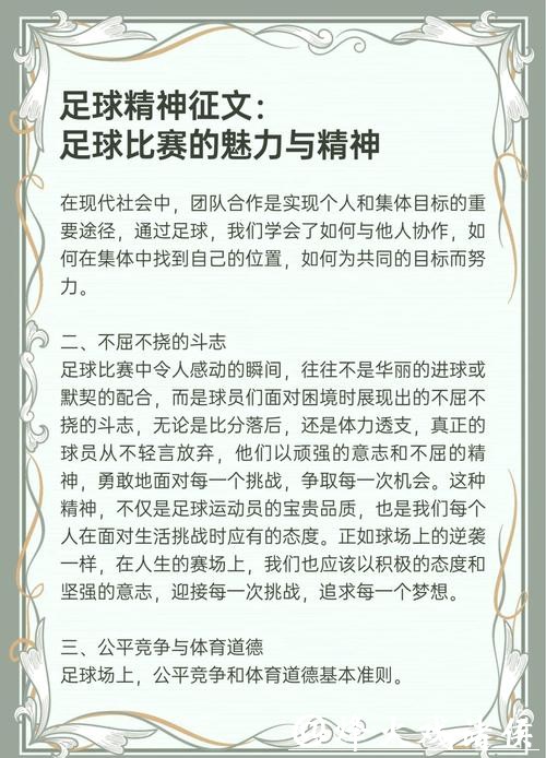 推动全民足球发展 促进青少年足球提升